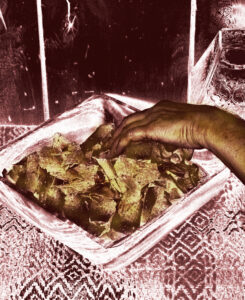 Blood and Salsa front cover